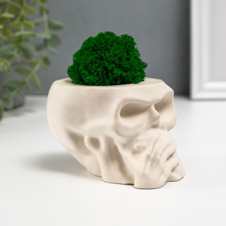 Kashpo concrete "Skull Silence" with moss 6.5x10 cm white (moss green stabilized)-1