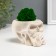 Kashpo concrete "Skull Silence" with moss 6.5x10 cm white (moss green stabilized)