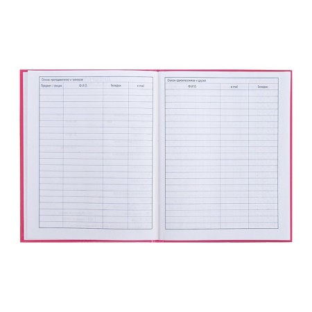 Universal diary for grades 1-11 "Bunny Mi", hard cover, matte lamination, 40 sheets-7
