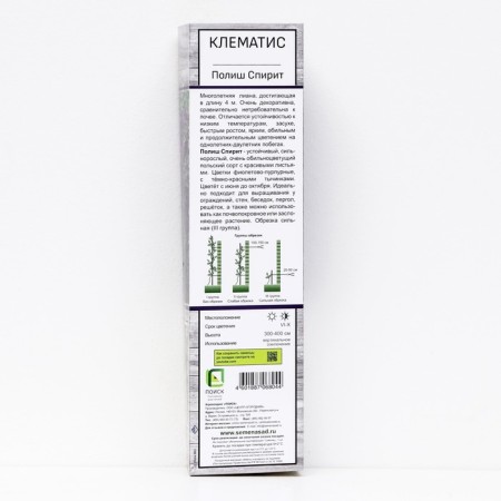 Clematis large -flowered "Polish Spit", 1 pc, tube, spring 2024-1