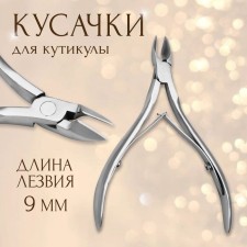Pleshiles are manicure, double spring, 10 cm, the length of the blade is 9 mm, in the case, the color is silver