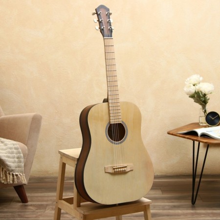 Acoustic guitar "Amistar N-51" 6 string, Menz. 650mm, matte-6