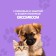 Hypoallergen shampoo for puppies and kittens 250 ml