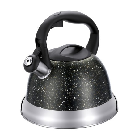Teapot Regent Inox Tea, with a whistle, 2.8 l + a titt gift for brewing tea