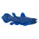 Figure Konik "Celacant", blue color