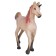 Figure "Persian foal-unit"