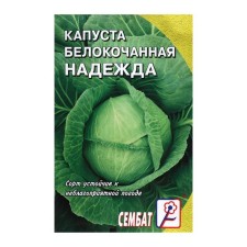 Cabbage seeds Belokochanna 
