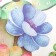 Interior plastic sticker "succulents" 60x90 cm, mix