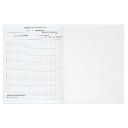 School diary for grade 1-11, Selfie & shoes, hard cover, artificial leather, block 80 g/m2, Liesse-11