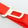 A car seat belt for dogs is especially durable, 68 x 2.5 cm, mix of flowers