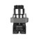 BD21 2P switch with NO lock