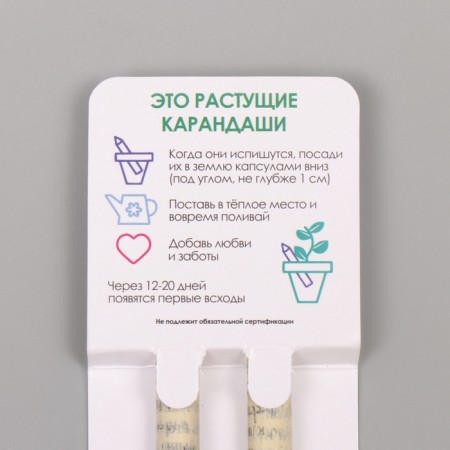 Growing gift pencils mini "chamomile + lavender" set 2 pcs.-2