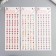 Stick plastic rhinestones "Flower and half -peaks" mix 31x10.7 cm