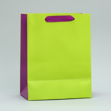 Gift package two-tone, packaging, “light green”, MS 18 x 23 x 10 cm-4