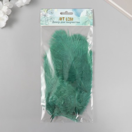 Pen of decorative ostrich "needles" h = 15-20 cm-2
