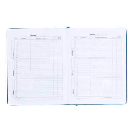Diary, universal, for grades 1-11, “orange monstrik”, artificial leather, foam lining, 48 sheets-5