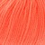 Yar. Coral