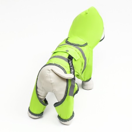 Dog ovens, demi -season with a visor, size S (DS 28, OG 41, Osh 31 cm), Green-3