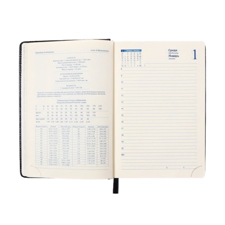 Diary of 2025 A5, 168 sheets in a ruler, leatherette "Nebraska", silver cut, black-10