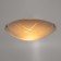 The lamp is wall-flowing "circuit" 2 lamps E27 60W 30 cm.