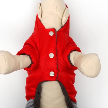 Zimovye jumpsuit for animals "duet", L (DS 28-30, OG 40-44 cm, Osh 32 cm), red-gray-4