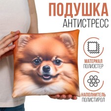 Antistress pillow 