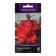 Flowers of cloves "Diana Scarlet" 10 pcs
