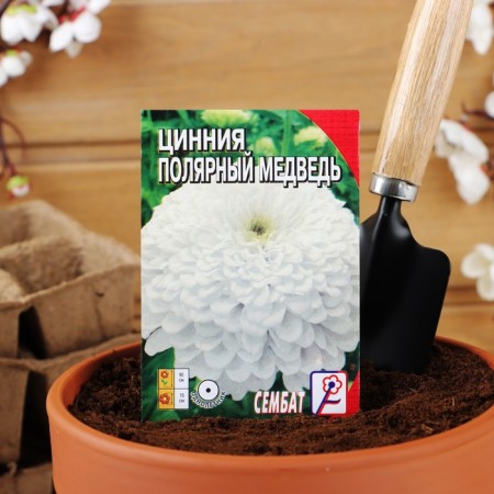 City Flowers "Polar Bear", 0.3 g-2