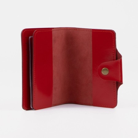 Cover for autoDocations and passports, red color-3