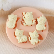 Molds Silicon 