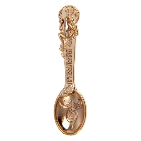 Spoon Zagrebushka "profitable"-2