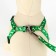 Kapron "Bones and Paws" kit, leash 120 x 1.5 cm, og 30-44 cm, green