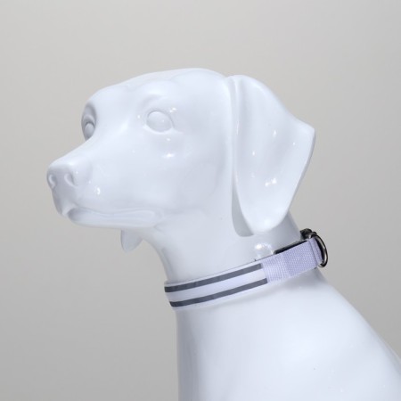 Collar with backlighting double strip size l, Osh 45-52 x 2.5 cm, 3 glow modes white-2
