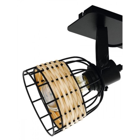 Spot Anwick E27 2x40W-1