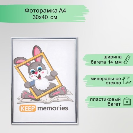 Photo frame plastic 30x40 cm silver (112)
