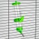 Drill for rodents "Pijon", 250 ml, green