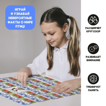 Мемо «Мир птиц»-3