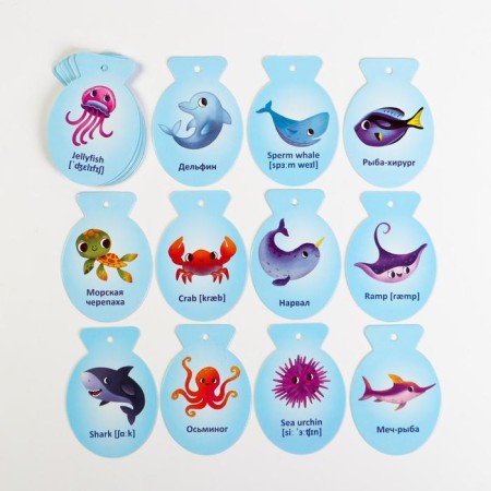 Cards on the ring for learning English "sea inhabitants", 20 cards, ring, 3+-2