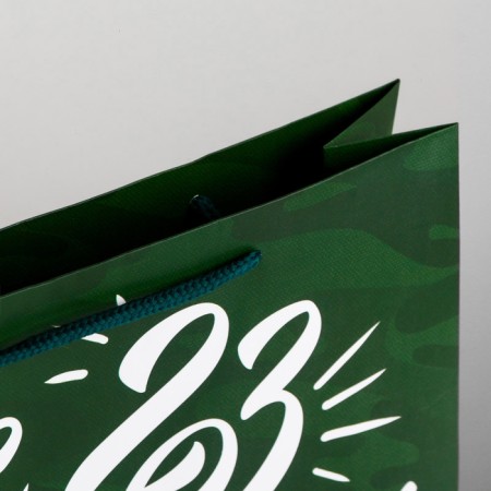 Gift laminated vertical package, packaging, "armor is strong", m 26 x 30 x 9 cm-2