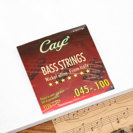 Strings for BAS GITARA Orphee BW730, 045-100, for 4 string guitar