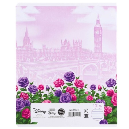 Notebook in a ruler of 12 sheets, 5 types of mix, cover coated cardboard, cats aristocrats-8