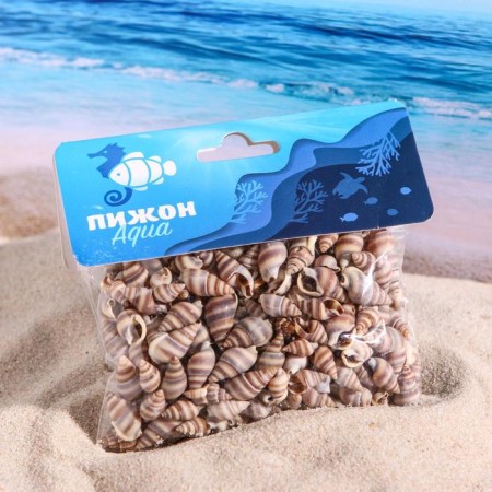Set of shells, 1 - 2 cm, 100 g-3