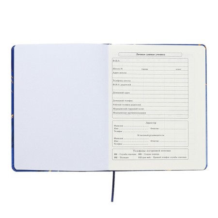 Universal diary for grades 1-11 Perfect, hard cover, artificial leather, foil embossing, tinted block, 48 sheets-4