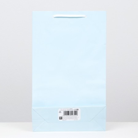 Laminated package, blue, 40.5 x 24.8 x 9 cm-1