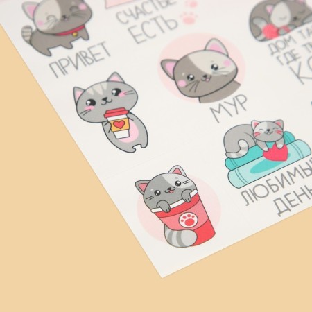 Paper stickers "cat", 11 × 15.5 cm-2