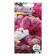 Flower seeds Annual Ageratum mixture 0.1