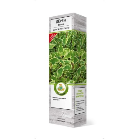 Deren White "Elegantissima", tube, 1 pc, spring 2025