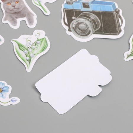 Stickers for creativity "Cats, blue flowers and photos" 3.5x5 cm set 40 pcs 9.4x8.4x0.5 cm-2