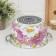 PION PAIRS, 4 L, glass cover, induction