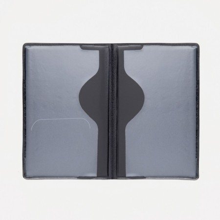Cover for passport, blue color-2